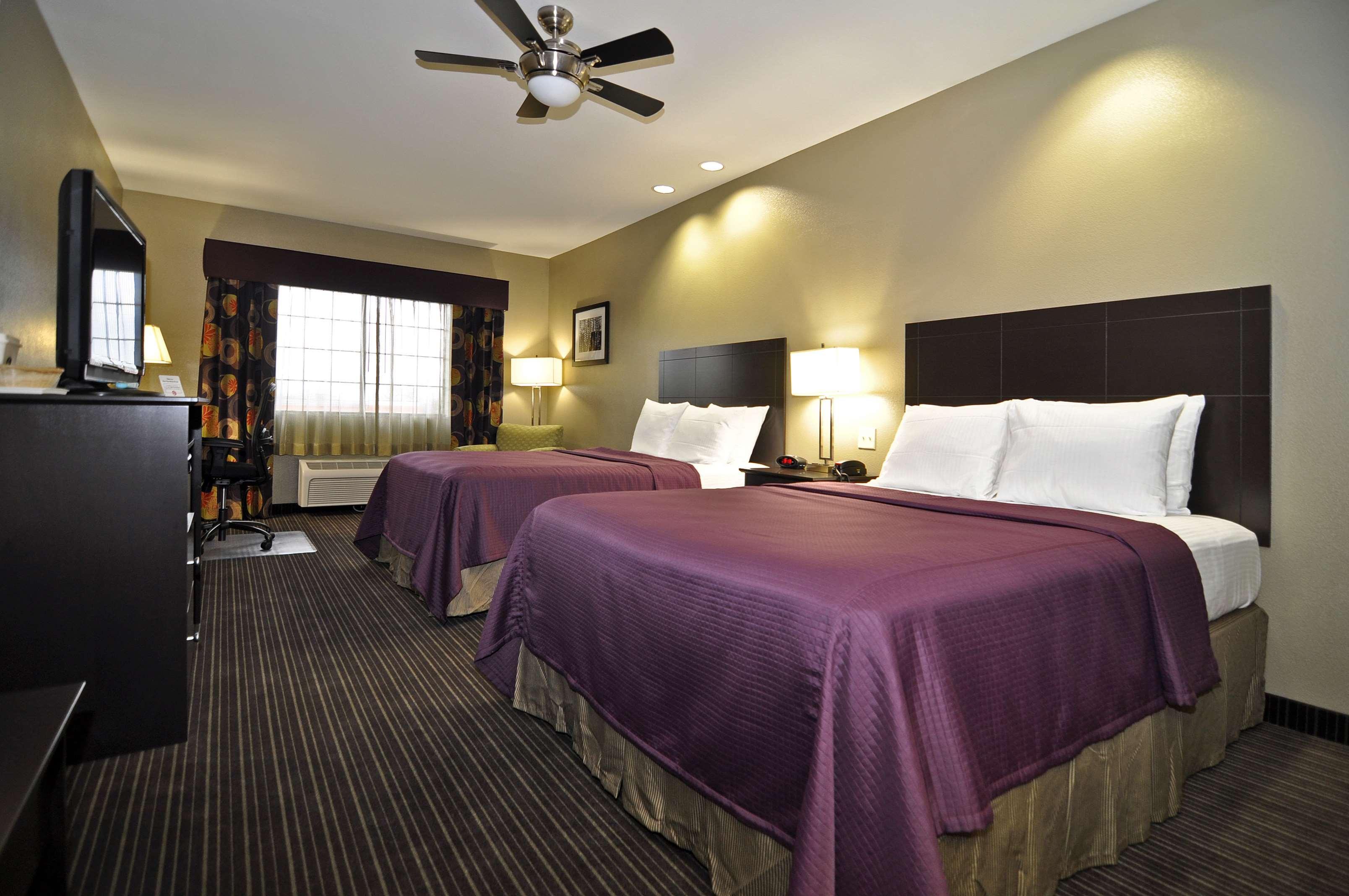 Best Western Giddings Inn & Suites Δωμάτιο φωτογραφία